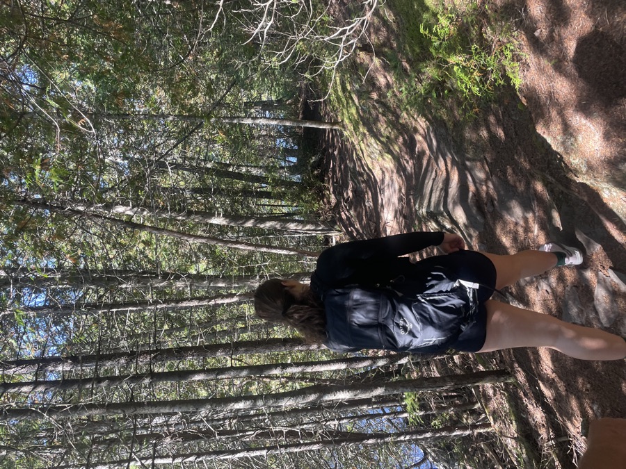 Randonnée sur un sentier boisé du domaine